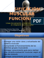 Clasificacinmuscularfuncional 120106062105 Phpapp02