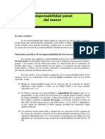 Responsabilidad Penal