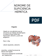 Insuficiencia Hepática: Causas, Síntomas y Tratamiento