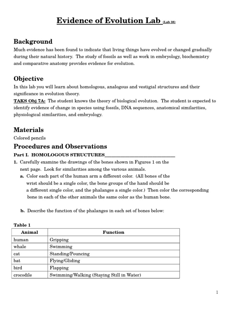 Worksheets Evidence Of Evolution Worksheet famous anatomy evidence for evolution illustration of evolutionary lab homology biology evolution