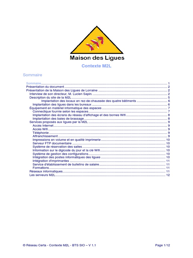 m2l Organisation | PDF | Informatique | Serveur (Informatique)