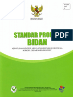 Standar Profesi 2007