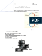 Fisa de Lucru Sistemul Circulator La Iepure