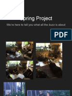 Spring Project Presentation