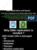 DNA Replication and Repair