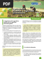 289954007 Agricultura Familiar y Seguridad Alimentaria BOLETIN N 2