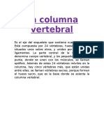 La Columna Vertebral