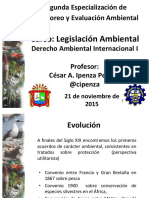 III. 0 Derecho Ambiental Derecho Internacional