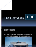 Hibrid Cataraman
