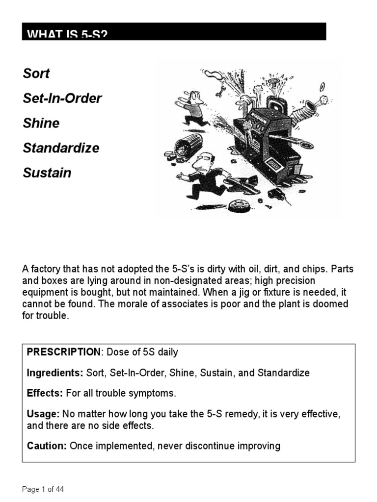 5S Method: Sort and Set in Order | PDF