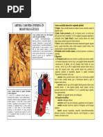 Artera Carotida Interna