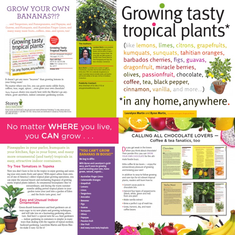Grow Exotic Fruits Indoors Easily | PDF | Fruit | Edible Plants