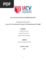 Trabajo de Investigación.docx