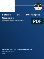 Sistemas de Informações Gerenciais