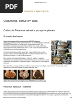 Cogumelos, Cultive Em Casa