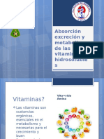 Absorción, metabolismo y fuentes de vitaminas hidrosolubles