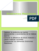 Síndromes Medulares