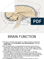 Function of Brain