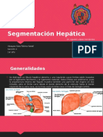 Segmentación Hepática