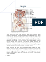 Anatomi Fisiologi GINJAL
