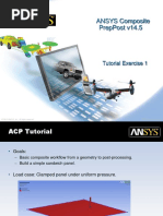 ACP Tutorial Ex1