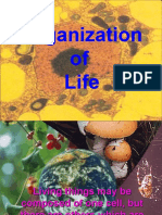 Organization of Life