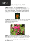 Pasto Para Abelhas Sem Ferrão