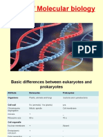 Basics of molecular biology