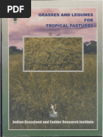 Tropical Pasture PDF