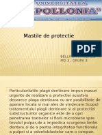 Mastile de Protectie