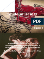 Tejido Muscular 