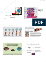 Desarrollo cerebral y Hallazgos de las neurociencias.pdf