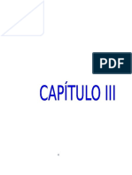 Capitulo III