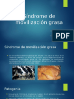 Síndrome de Movilización Grasa