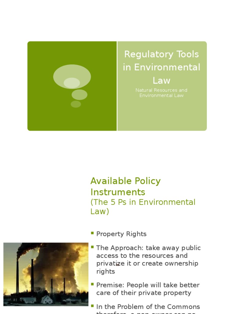 Environmental Law Regulatory Tools Explained | PDF | Externality ...