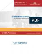 Flujo de Efectivo PDF