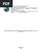 Relatorio Estagio HUT.pdf