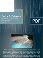 Presentasi Delta & Estuary