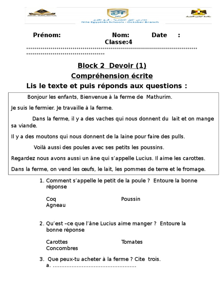 Devoir de français - Classe 4 | PDF
