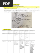 Review Dan Latihan Soal Fisiologi Tumbuhan