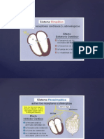 Electrocardiograma