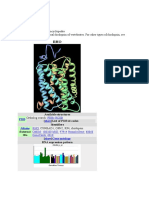 Rhodopsin