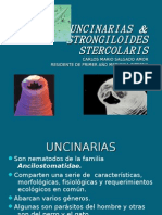 UNCINARIAS &amp; STRONGILOIDES STERCOLARIS