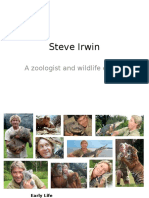 Steveirwincompleted