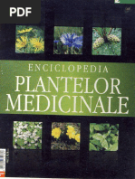 erecție la culcare