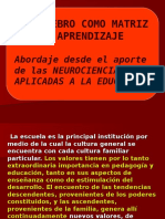 El cerebro como matriz del aprendizaje: neurociencia y educación