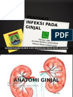 PENYAKIT INFEKSI GINJAL