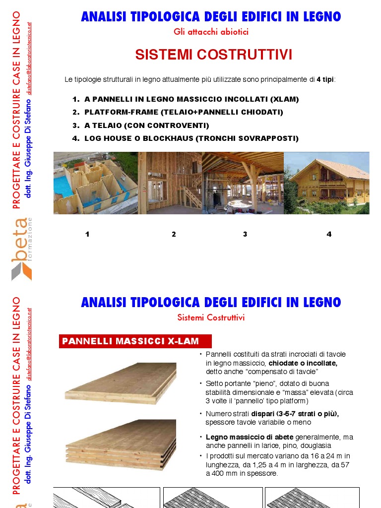 Verifica Sul Legno Prima Media Pdf