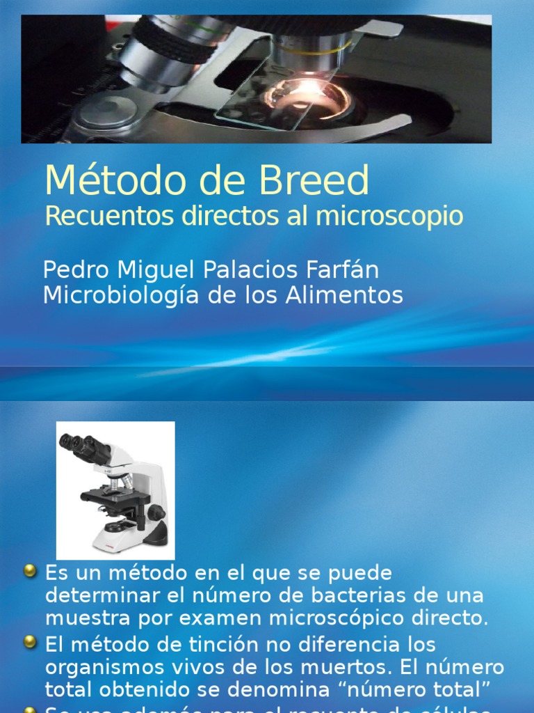 Método de Breed Microscopio Las bacterias