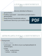 artroplastia genunchi